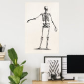 Vintagen Skelett der 1800er Jahre Antikes Anatomie Poster (Heimbüro)