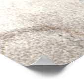 Vintagen Skelett der 1800er Jahre Antikes Anatomie Poster (Ecke)