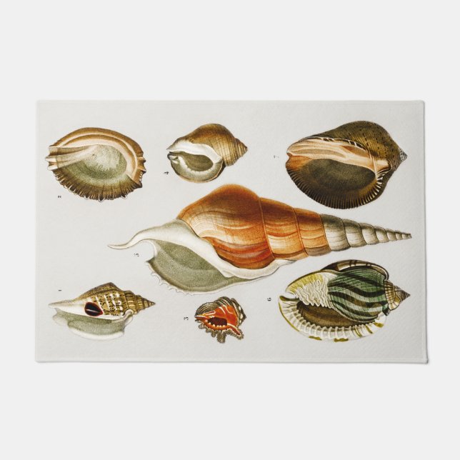 Vintagen verschiedene Arten von Weichtieren Musche Fußmatte (Vorderseite)