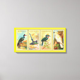 Vintagen vier tropische Vögel in einer Illustratio Leinwanddruck