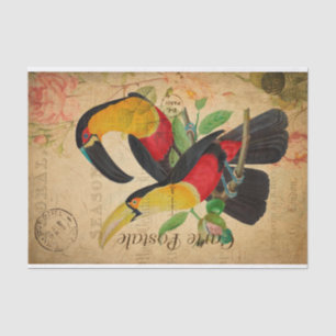 Vintagen zwei farbenfrohe Toucan Birds floral Fran Seidenpapier