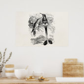 Vintager 1800er Racket-Schwanz Hummingbird Racquet Poster (Küche)