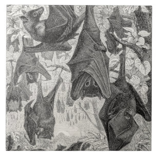 Vintager 1800s Fliegenfox-Schläger-Retro Schablone Fliese