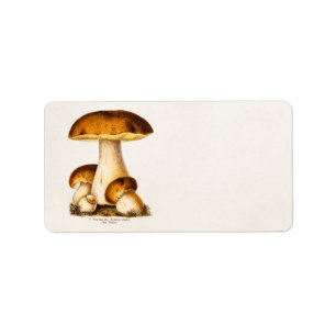 Vintager 1800s Pilz-essbare Pilz-Schablone Adressaufkleber