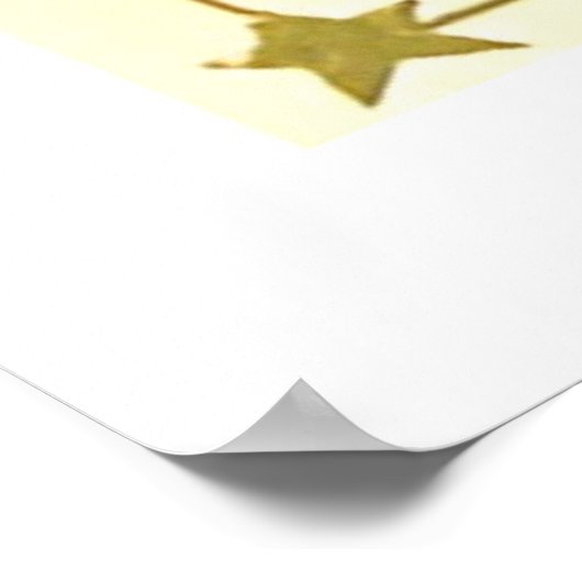 Vintager 4. Juli Logo Poster (Ecke)