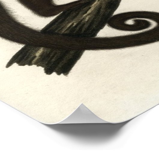 Vintager Affe Poster (Ecke)