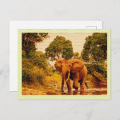 Vintager afrikanischer Elefant der Postkarte (Vorne/Hinten)