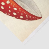 Vintager Agarianischer Roter Pilz Dekoupage Seidenpapier (Ausschnitt)