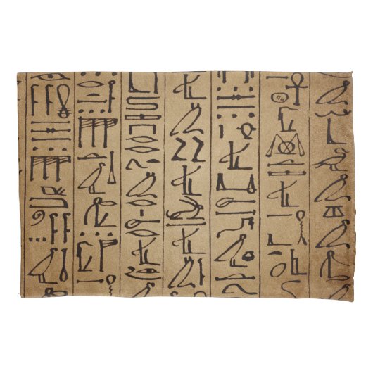 Vintager ägyptischer Hieroglyphen-Papier-Druck Kissenbezug (Vorderseite-Links)