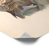 Vintager ägyptischer Vulturbird Poster (Ecke)
