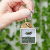 Vintager Aktionskorb für Blume Schlüsselanhänger (Hand)