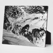 Vintager Alaska eskimo Malamute Schlittenrennen 19 Fotoplatte (Seite)