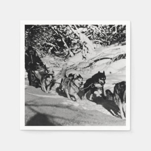 Vintager Alaska eskimo Malamute Schlittenrennen 19 Serviette