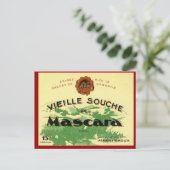 Vintager algerischer Wein , Mascara Vieille Souche Postkarte (Stehend Vorderseite)