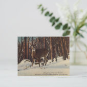 Vintager Allegheny National Forest, Pennsylvania Postkarte (Stehend Vorderseite)