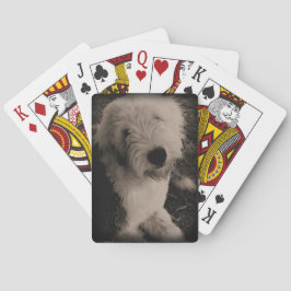 Vintager alter englischer Schäferhund Spielkarten