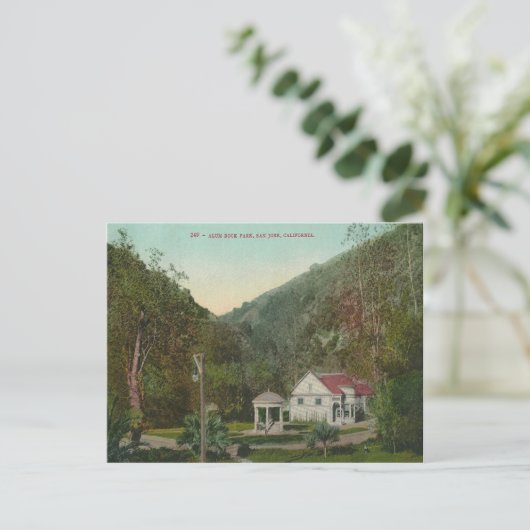 Vintager Alum Rock Park Postkarte (Stehend Vorderseite)