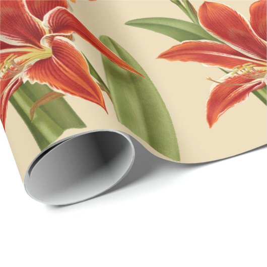 Vintager Amaryllis-Weihnachtsbeifall (Fahrwerk. Geschenkpapier (Rolleneckpunkt)