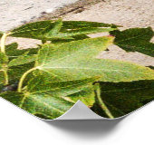 Vintager amerikanischer Abholwagen Poster (Ecke)