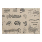 Vintager Anatomie-Druck Kissenbezug (Rückseite-Links)