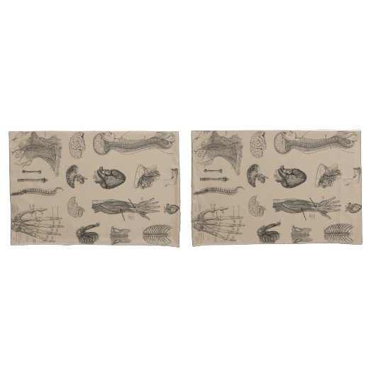 Vintager Anatomie-Druck Kissenbezug (Vorderseite-Set)