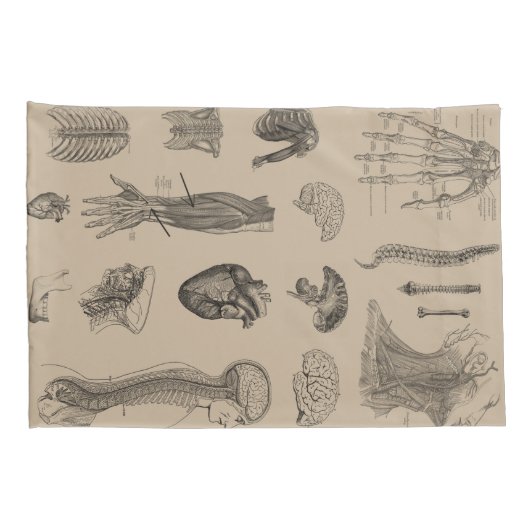 Vintager Anatomie-Druck Kissenbezug (Rückseite-Rechts)