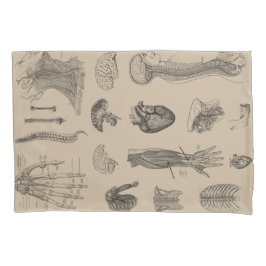 Vintager Anatomie-Druck Kissenbezug