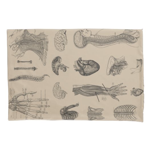 Vintager Anatomie-Druck Kissenbezug (Vorderseite-Links)