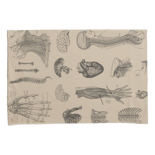 Vintager Anatomie-Druck Kissenbezug (Vorderseite-Rechts)