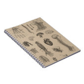 Vintager Anatomie-Druck Notizblock (Rechte Seite)