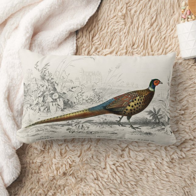 Vintager antiker Ring mit Hals Lendenkissen (Decke)