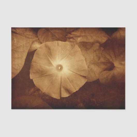 Vintager antiker Sepia Blumenzauber Seidenpapier (Vorderseite)