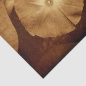 Vintager antiker Sepia Blumenzauber Seidenpapier (Ausschnitt)