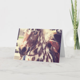 Vintager Appaloosa-Show-Pferdegeburtstag Karte