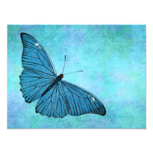 Vintager Aquamariner Blauer Schmetterling der 1800 Fotodruck