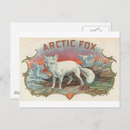 Vintager arktischer Fox Postkarte (Vorne/Hinten)