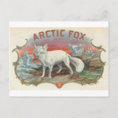Vintager arktischer Fox Postkarte (Vorderseite)