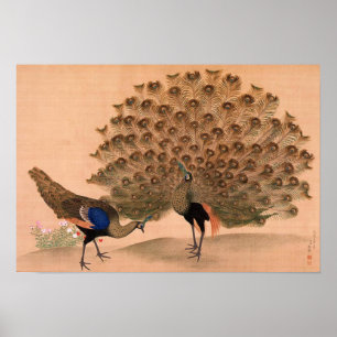 Vintager asiatischer Pfau Poster