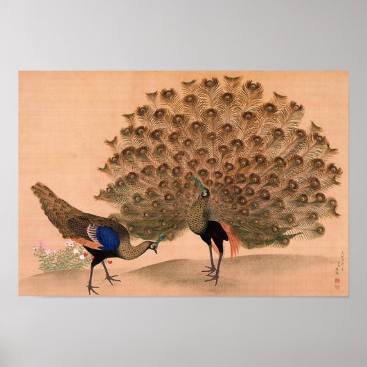 Vintager asiatischer Pfau Poster (Vorne)