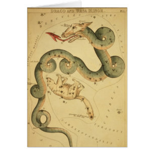 Vintager Astronomiedruck Draco u. Ursa