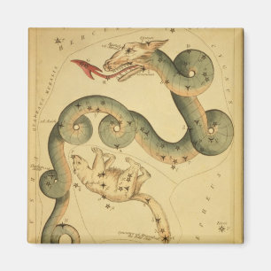 Vintager Astronomiedruck Draco & Ursa Minor Magnet