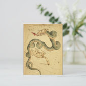 Vintager Astronomiedruck Draco & Ursa Minor Postkarte (Stehend Vorderseite)