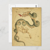 Vintager Astronomiedruck Draco & Ursa Minor Postkarte (Vorne/Hinten)