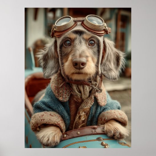 Vintager Aviator Poster (Vorne)