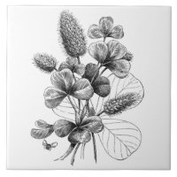 Vintager B&W Klee-Blumenstrauß
