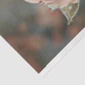 Vintager Baby-Gator in Spitzenkleidung Seidenpapier (Ausschnitt)