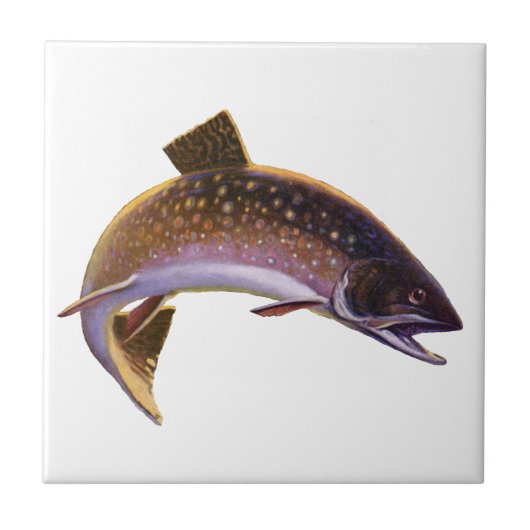 Vintager Bachforellenfisch, Sportfischer Fliese (Vorderseite)