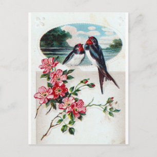 Vintager Barschschwanz Postkarte