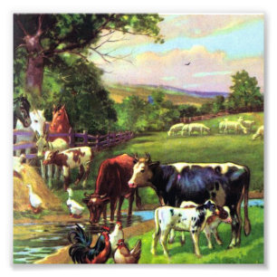 Vintager Bauernhof Fotodruck