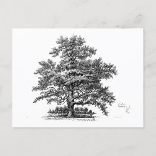 Vintager Baum Ephemera Postkarte